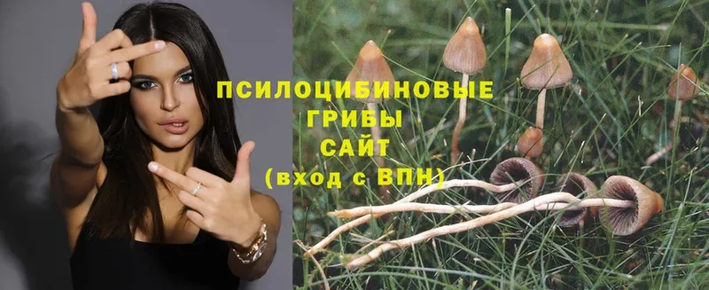 Галлюциногенные грибы Magic Shrooms  Красноуральск 